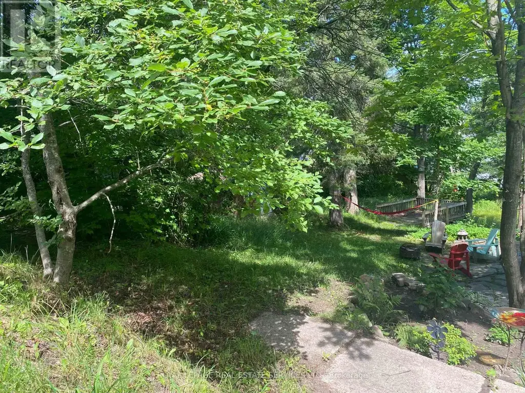 16 Cora Street E, Huntsville (Chaffey)